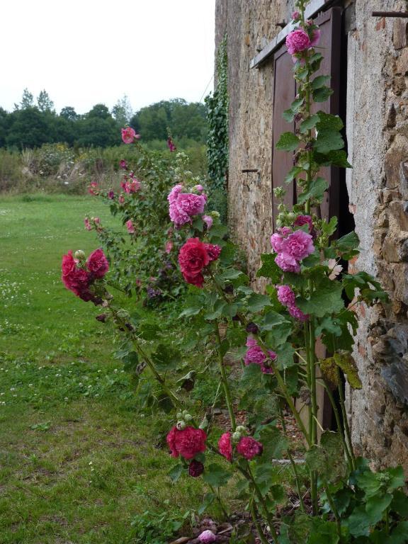 Saint-Germain-sur-Moine Chambres D'Hotes Le Chateau Rouge المظهر الخارجي الصورة